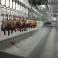 Poultry processing equipment bleeding trough